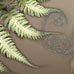Fern 102