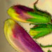 Flora Magic