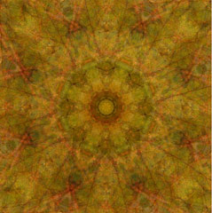 Kaleidoscope Collection #009A0002