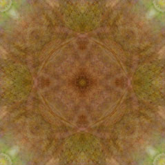 Kaleidoscope Collection #009A0004