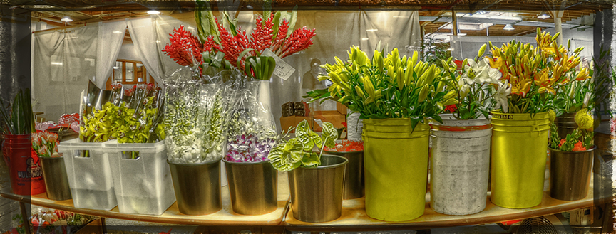 Michigan Sweet Spot, Eastern Floral on Valentine's Day