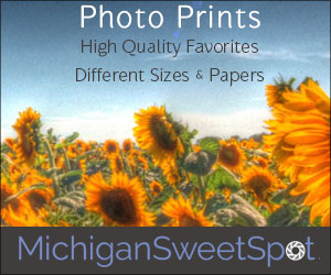 High quality prints of Ann's work