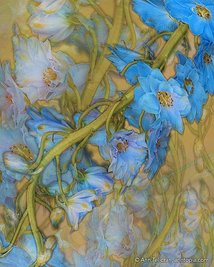 Flow Gallery