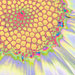 Daisy 103