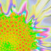 Daisy 105