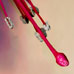 Fuschia Fertalia