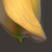 Calla S-101