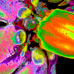 Nightshade On Acid