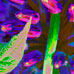Night Wisteria