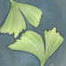 Air