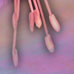 Reach