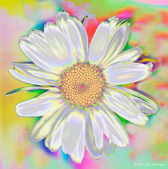 Daisy 103