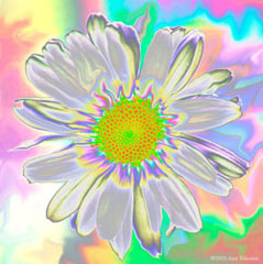 Daisy 105
