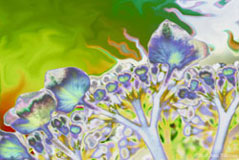 HydraFlow