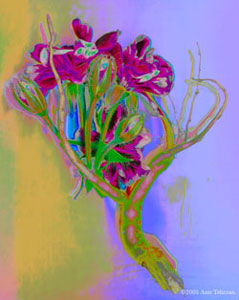 Root