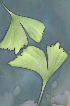 Air