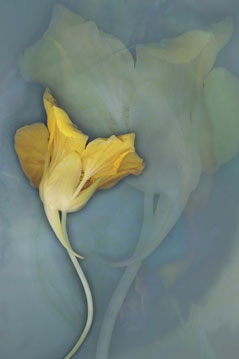 Centered