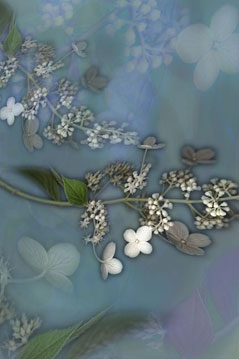 Gently
