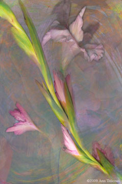 Spirit