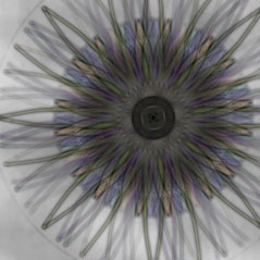 Kaleidoscope S-101