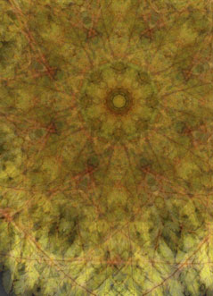 Kaleidoscope S-102