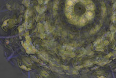 Kaleidoscope S-106