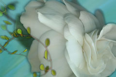 Breeze S-101