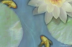 Float S-107