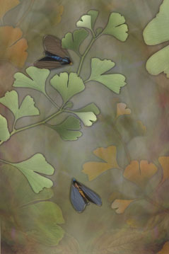 Healing Garden S-101