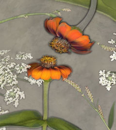 Flora Flow