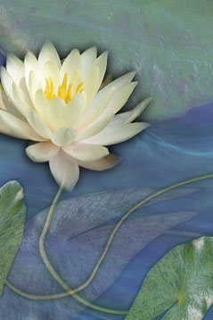 Float s-101