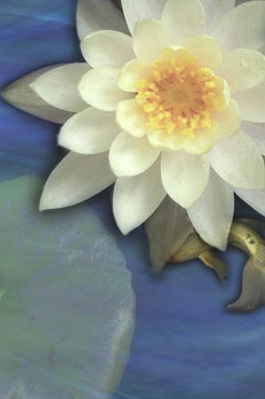 Float s-103