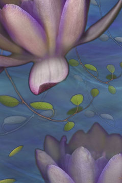 Float s-104