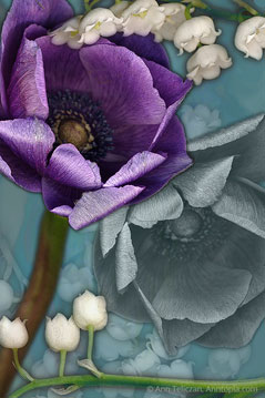 Abundance s-101
