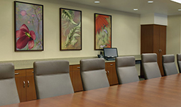 Board Room, Parkview Regional Medical Center, Fort Wayne, IN 24in x 36in canvas installations