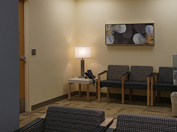 Radiology Reception Area, St. Mary's Hospital, Grand Rapids, MI 18in x 45in framed canvas print installation